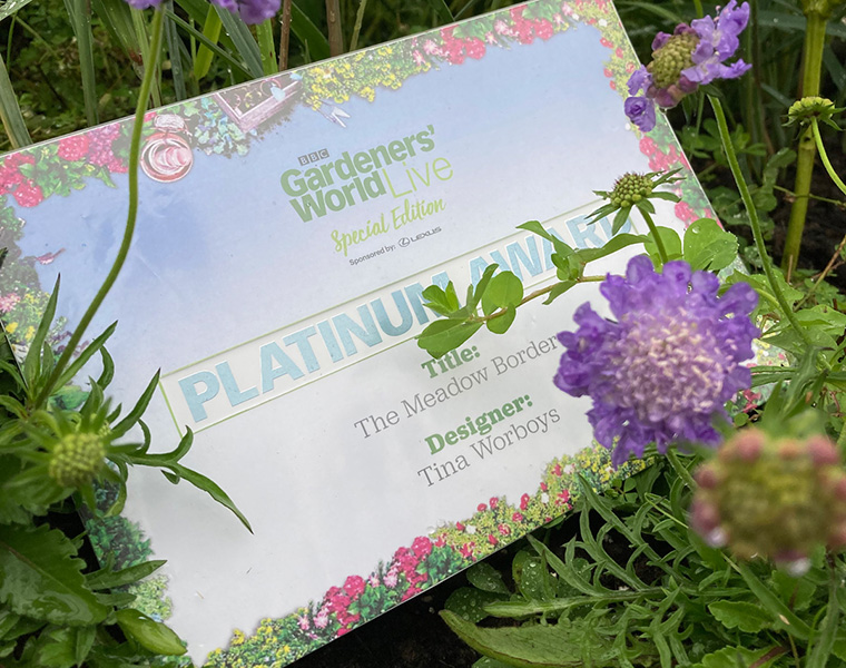 Gardeners' World Live Platinum Award for The Meadow Border