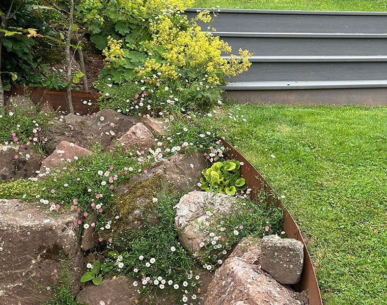 Retaining wall of pudding stones with wildflowers planted between the rocks
