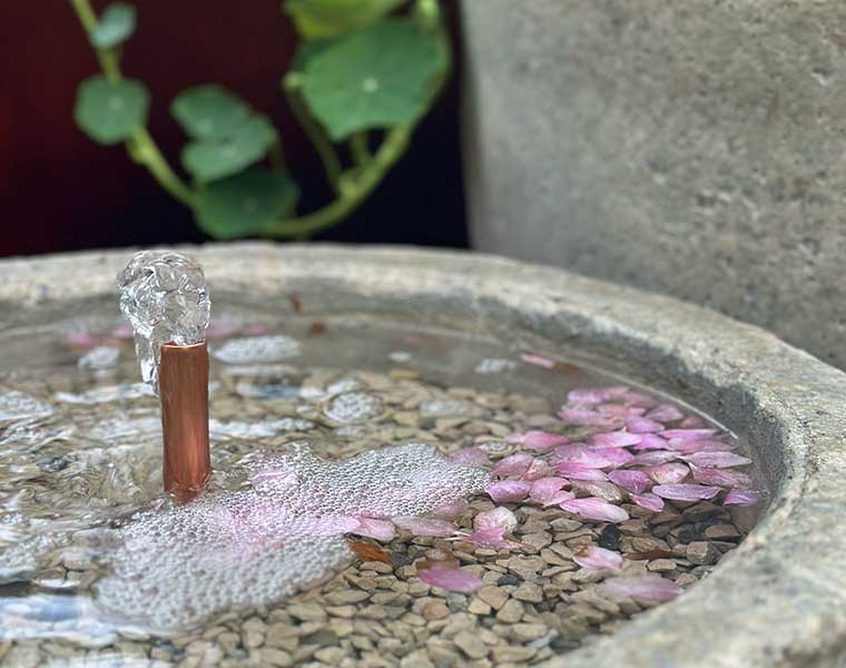 Close-up of water flowing from a small fountain pipe onto pebbles with pink flower petals in a stone basin.