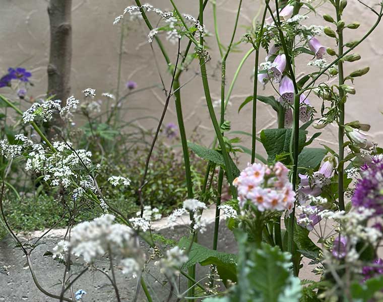 Close-up of garden flowers with white, pink, and purple blooms and green stems against a textured wall.