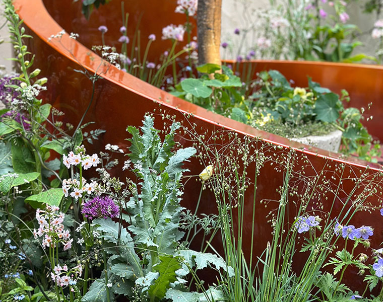Close-up of diverse green plants and flowers against curved rust-colored metal garden edging.